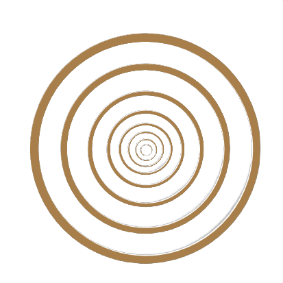 Nieuw_Logo_Bruin_Transpatante_achtergrond_4_bg_rem Logo Soulrelease
